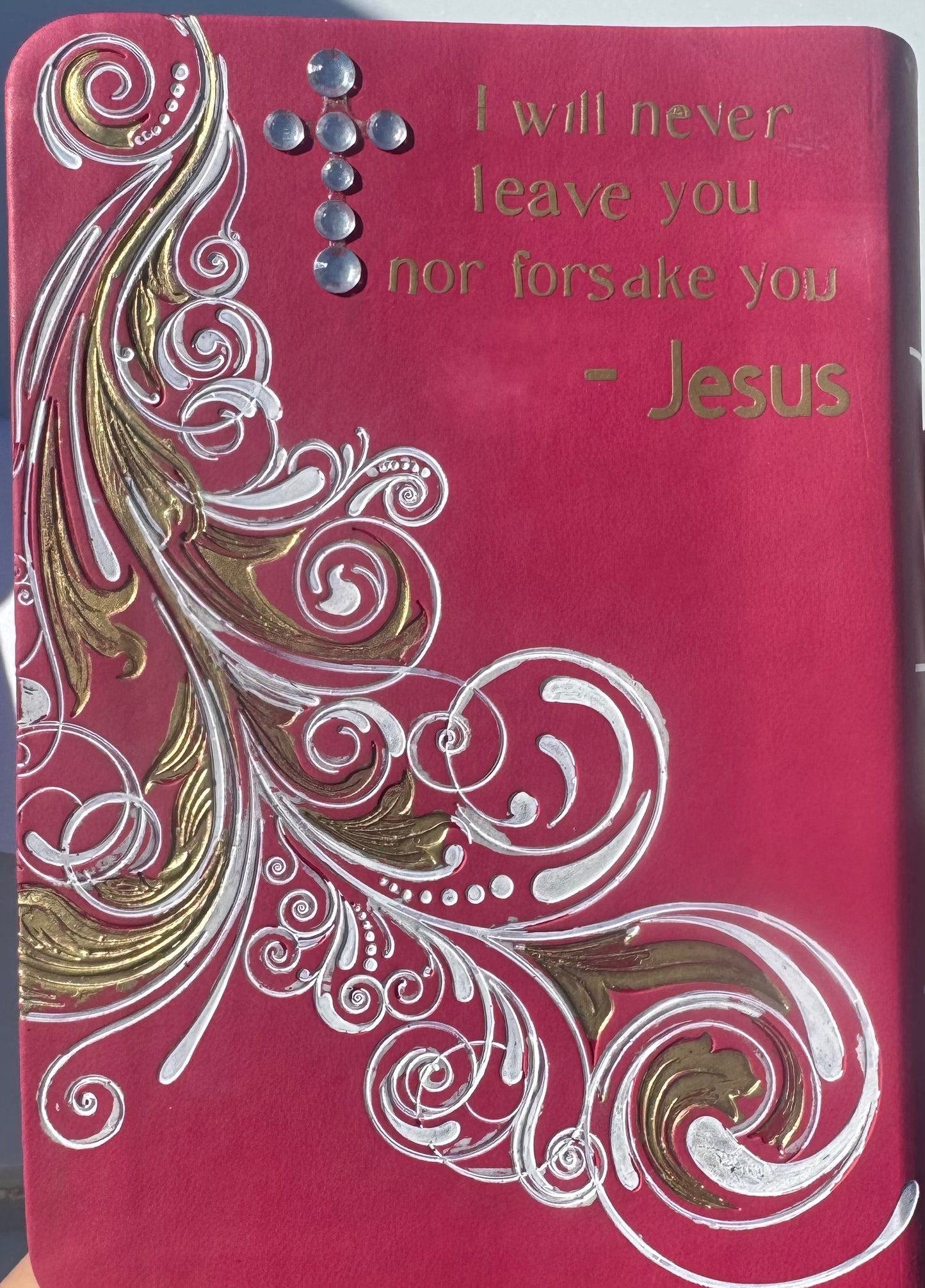 Custom Barbie theme Bible KJV