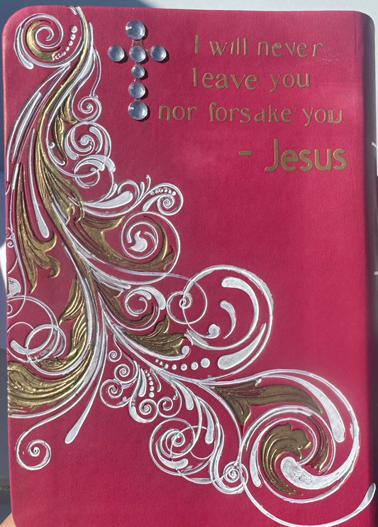 Custom Barbie theme Bible KJV